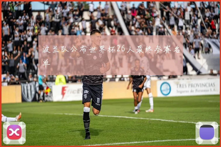 波兰队公布世界杯26人最终参赛名单