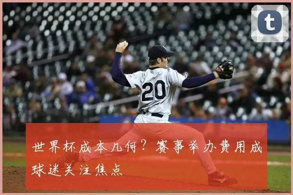 世界杯成本几何？赛事举办费用成球迷关注焦点