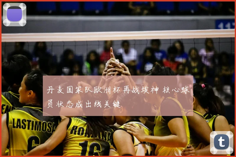 丹麦国家队欧洲杯再战埃神 核心球员状态成出线关键