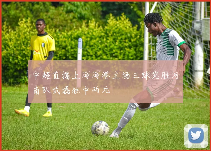 中超直播上海海港主场三球完胜河南队武磊独中两元